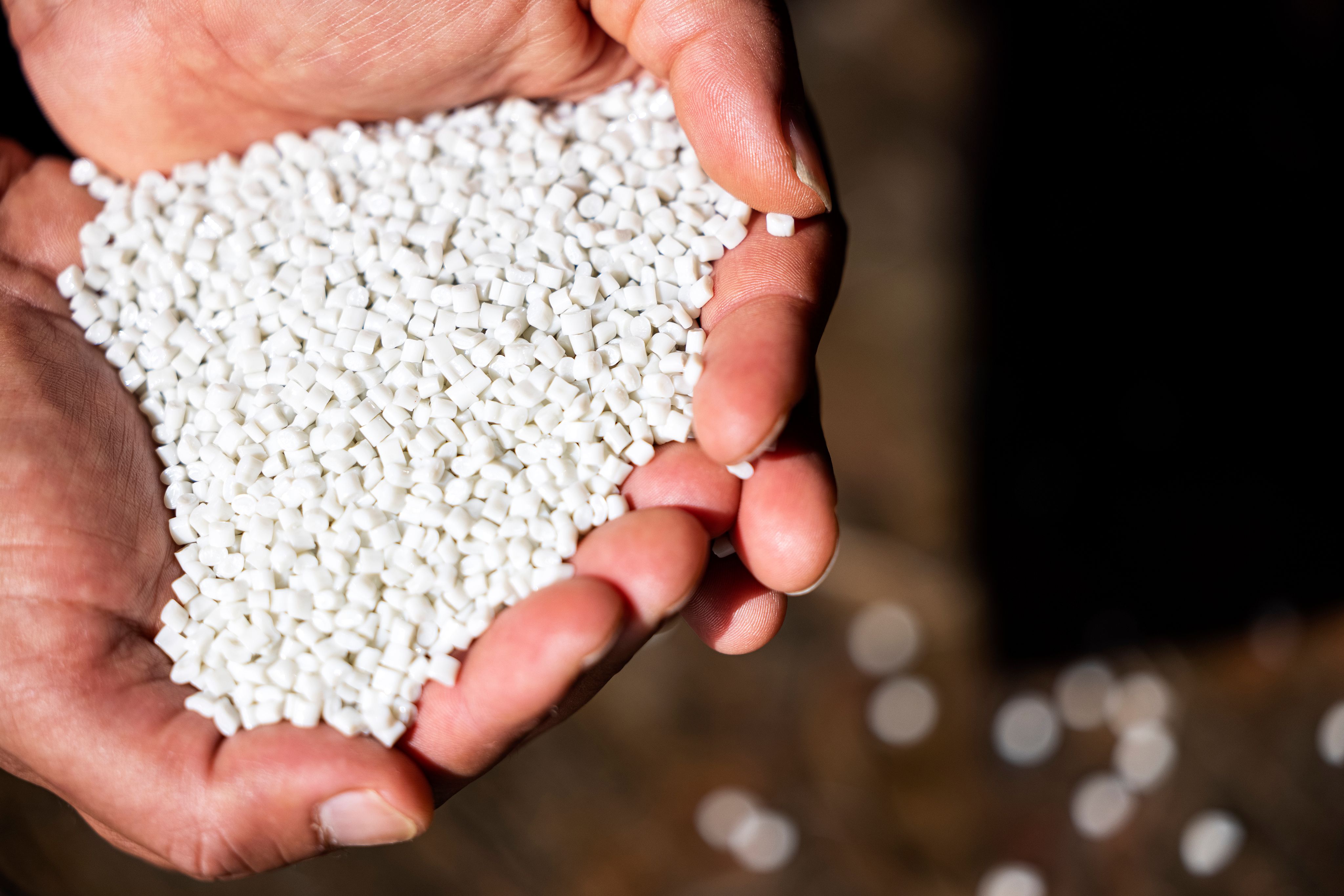 两只手握着由废旧PET瓶制成的PET芯片